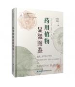 ˎ��ֲ���@΢�D�b